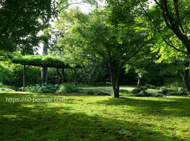 城南宮の平安の庭の苔庭の画像