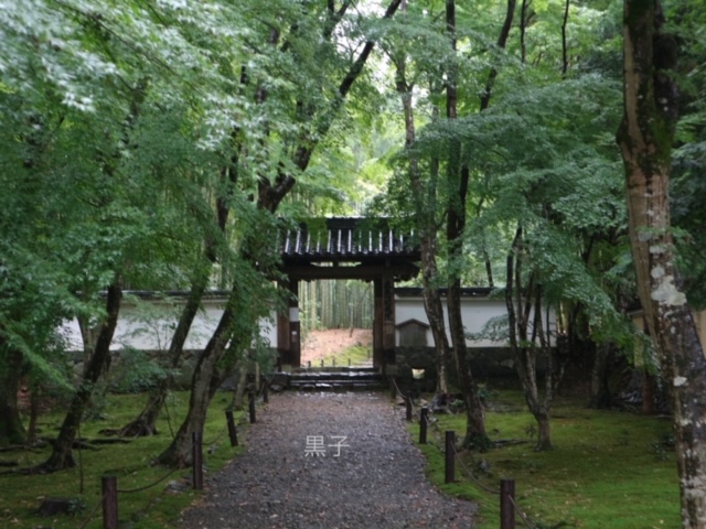 地蔵院（竹の寺）の門の画像